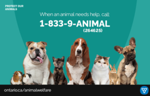 Provincial Animal Welfare Services (PAWS) Act – Guelph Humane Society