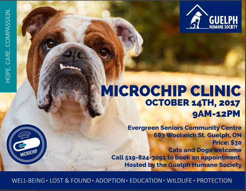 Microchip clinic, October 14, 2017, 9 a.m. to 12 p.m. at Evergreen Seniors Community Centre, 683 Woolwich St., Guelph, Ontario. Price: $30. Cats and dogs welcome. Call 519-824-3091 to book an appointment. Hosted by the Guelph Humane Society. Shown with an English bulldog.