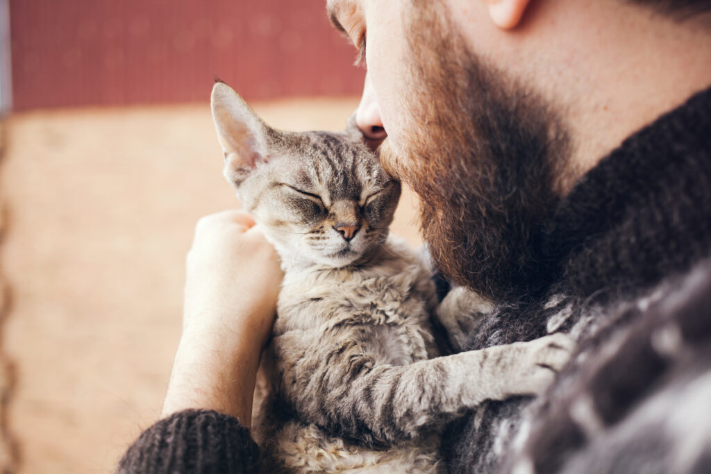 Bearded man holding a contented tabby cat close to his face