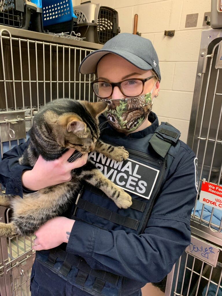 Shannon, a GHS animal services officer wearing a face mask, holding a tabby cat