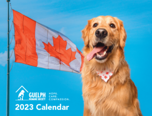 GHS 2023 Calendars - On Sale Now! background