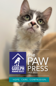 Guelph Humane Society's Fall 2022 Paw Press Newsletter