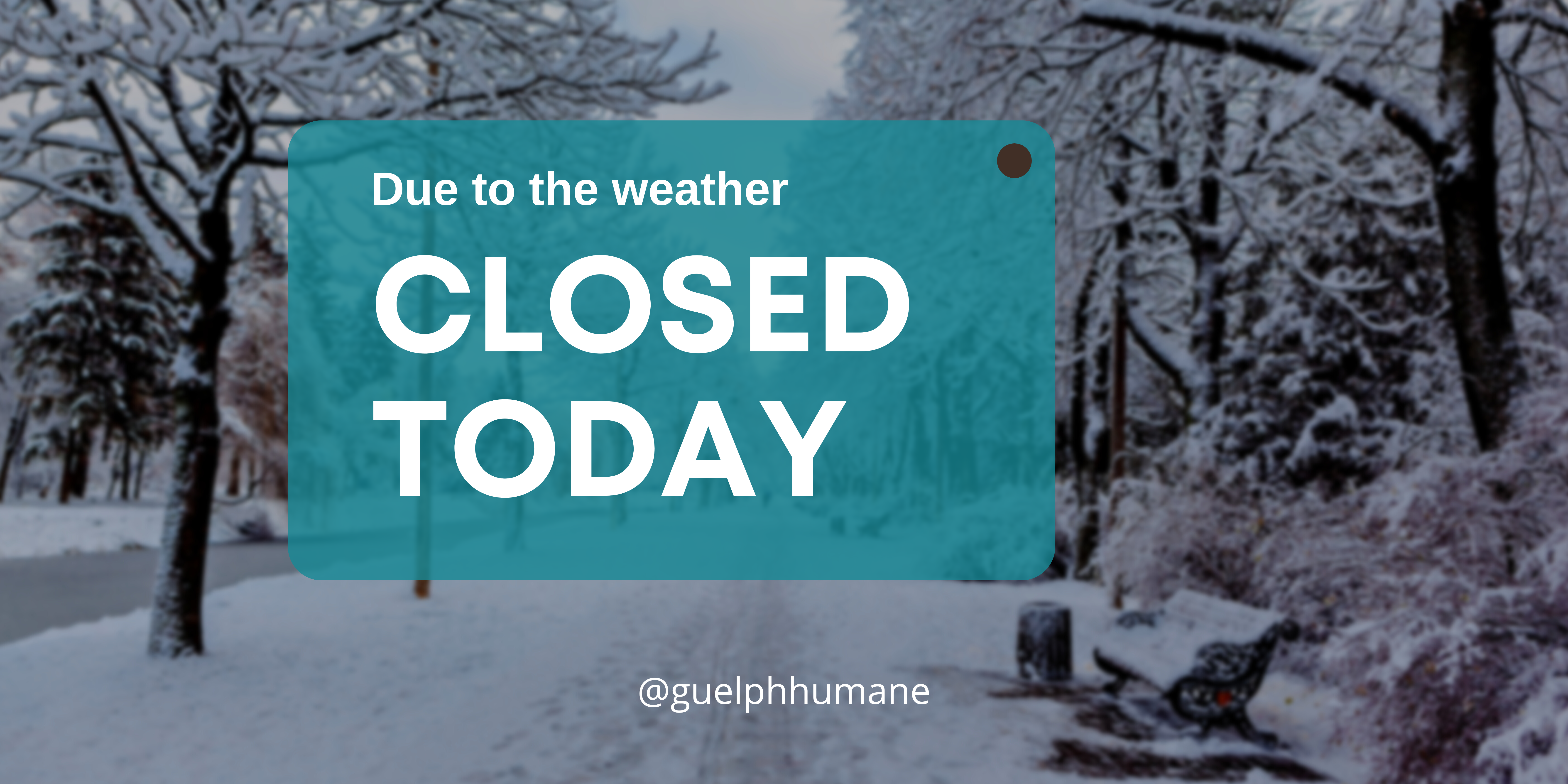 "Due to the weather, closed today" over a snowy park scene