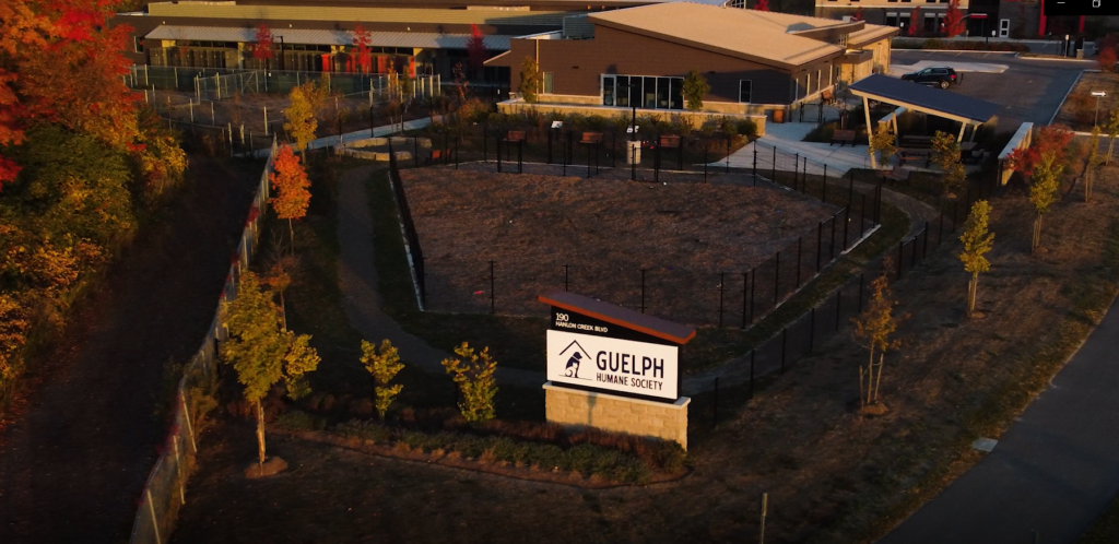 Aerial view of the Guelph Humane Society building and grounds surrounded by fall trees