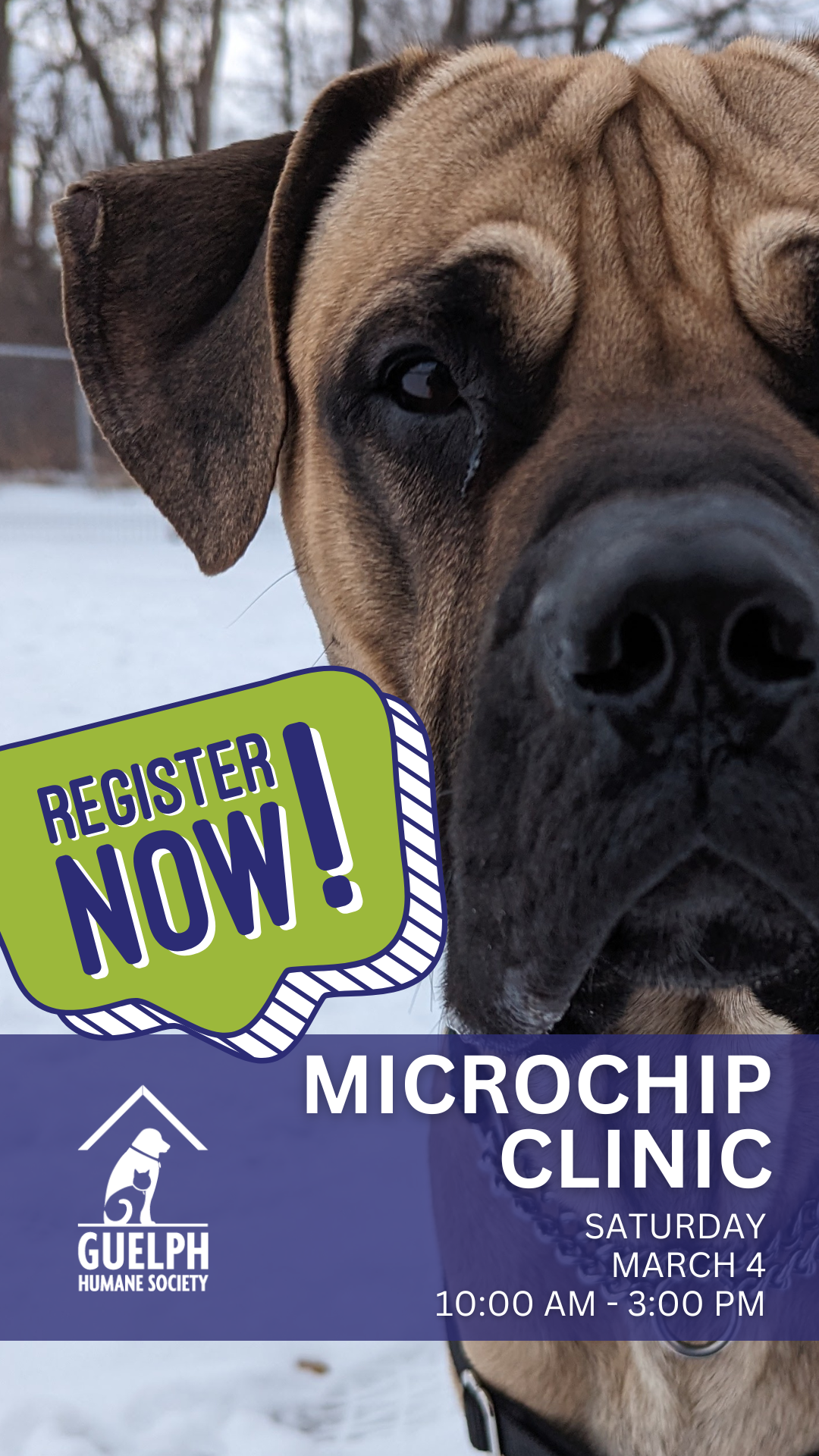MICROCHIP CLINIC MARCH 4, REGISTER NOW