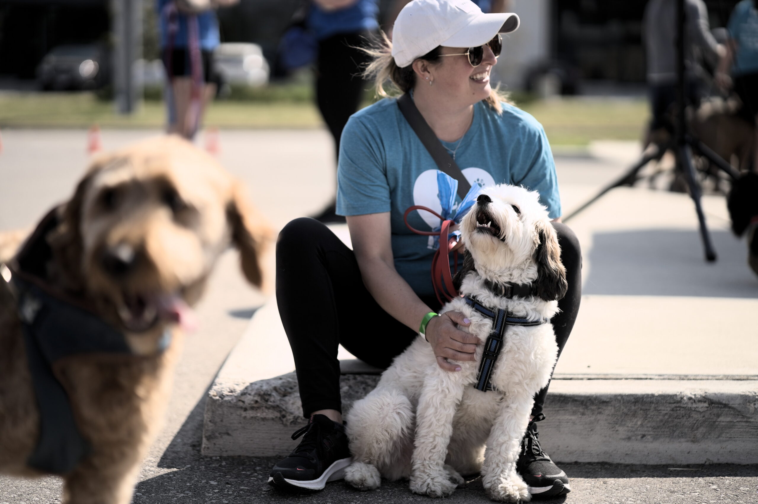 Woman crouching beside a small white dog in a harness, next to a fluffy tan dog, at the walk-a-thon