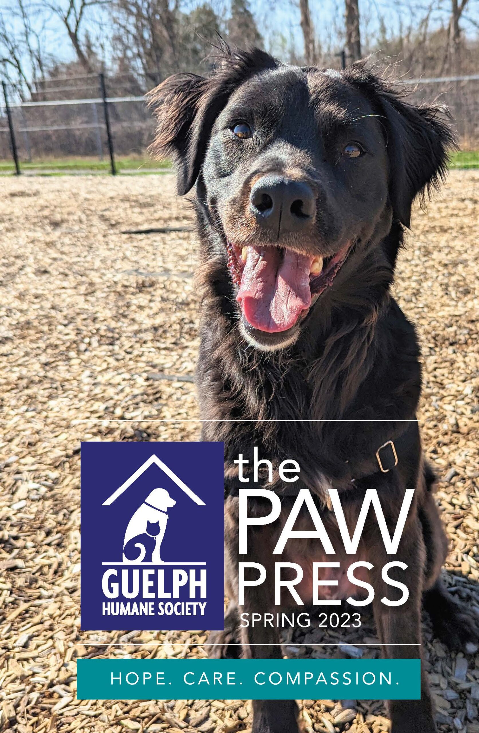 Cover of The Paw Press newsletter, Spring 2023, featuring a smiling black dog