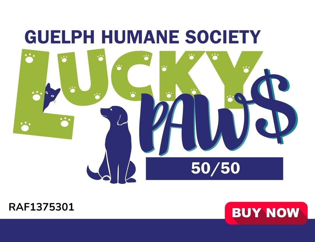 Lucky Paws 50/50 Lottery background