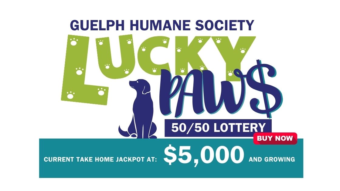 Lucky Paws 50/50 Lottery background