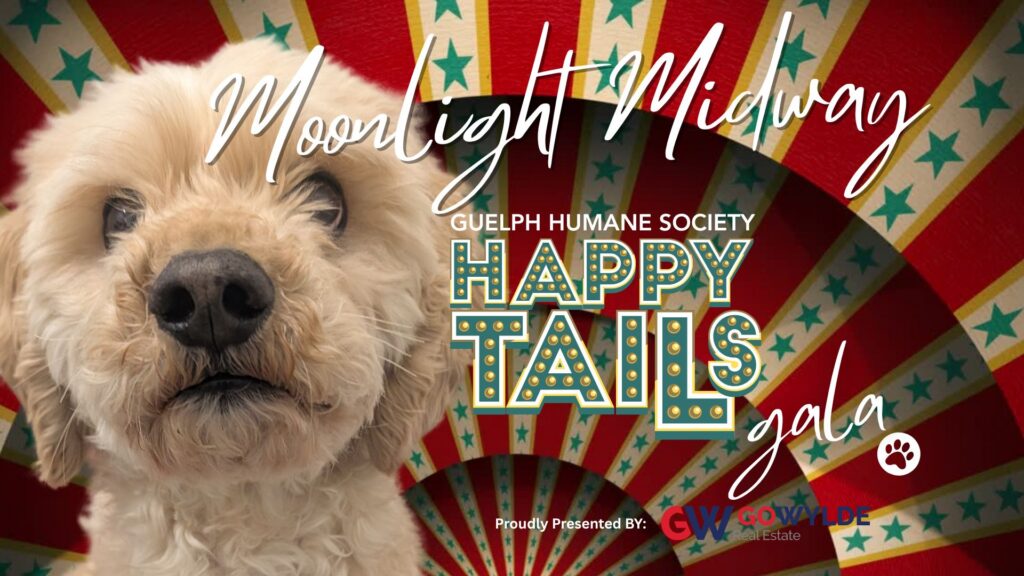 Happy Tails Gala: Moonlight Midway graphic with a fluffy cream-coloured dog in front of a carnival backdrop