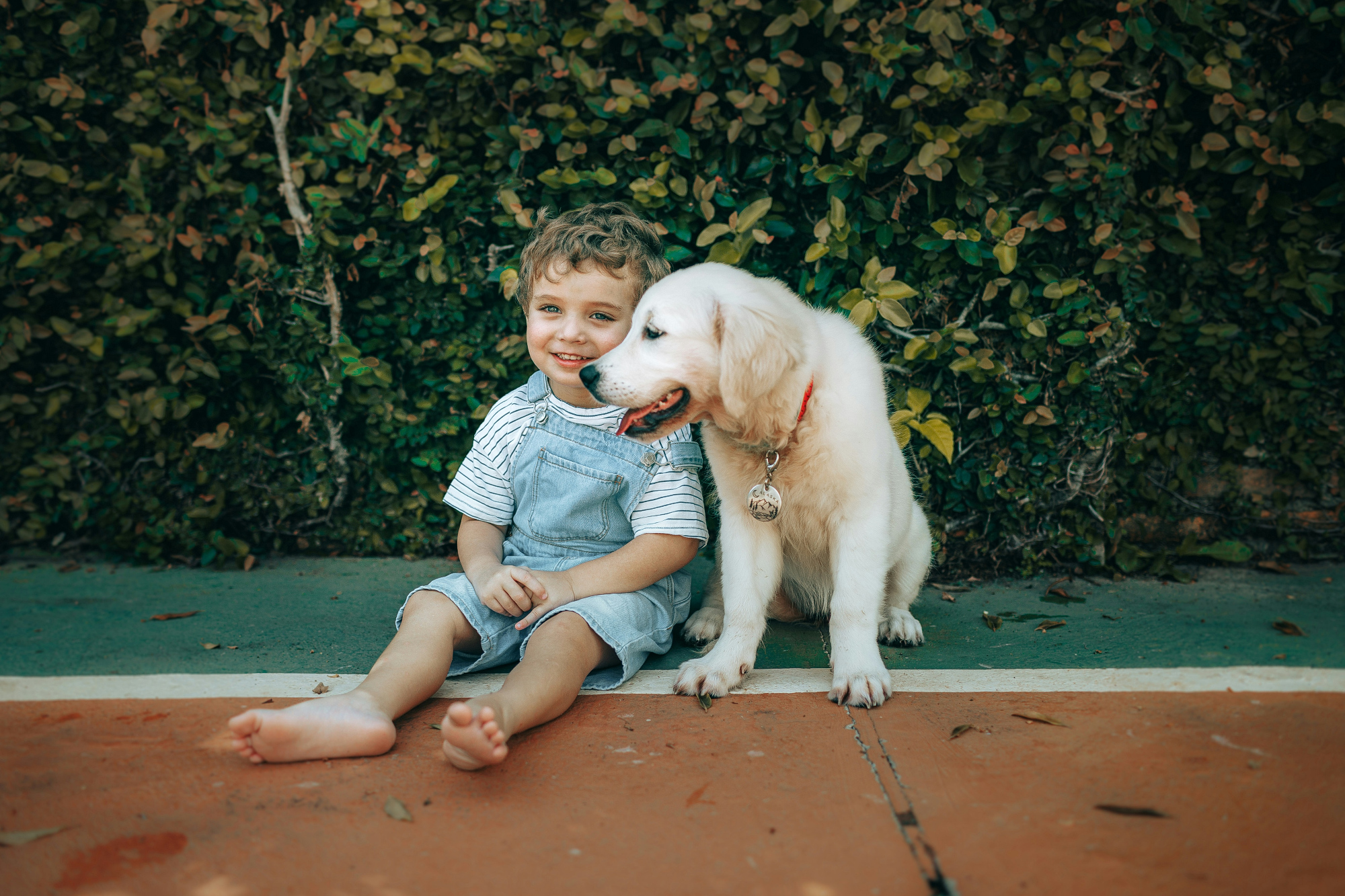 A young boy in dungarees sits on the ground beside a cream labrador puppy, which leans in against his shoulder.
