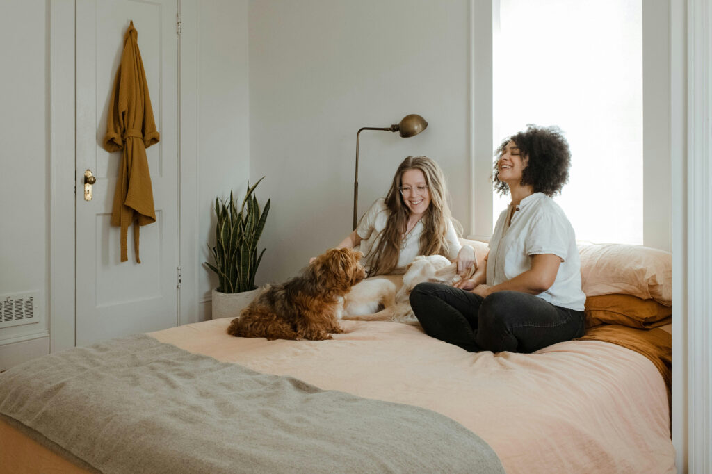 Two people sit on a bed laughing together with two small dogs beside them.