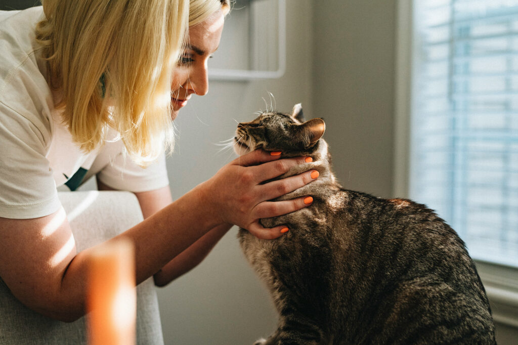 A woman leans down to hold a tabby cat's face in both hands as it stretches up toward her.