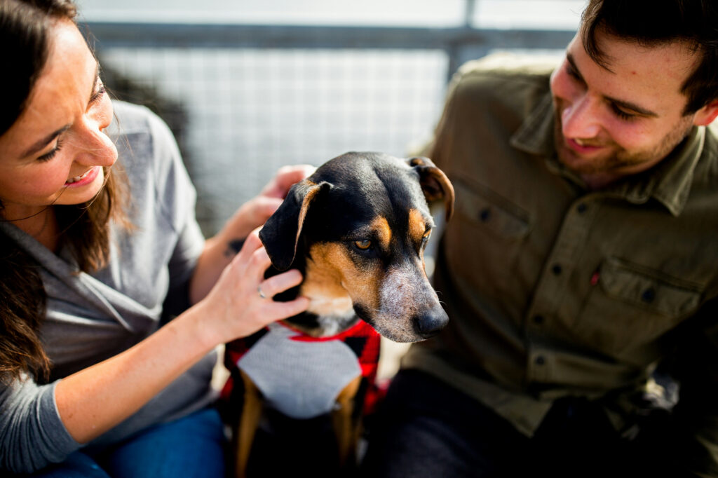 A man and a woman sit on either side of a black and tan hound in a harness, both smiling as they stroke its head.