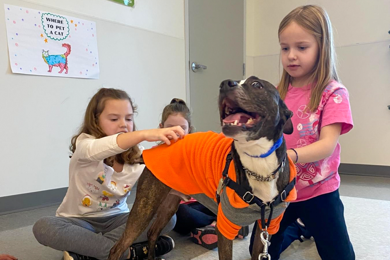 Two young girls petting a dark dog wearing an orange shirt