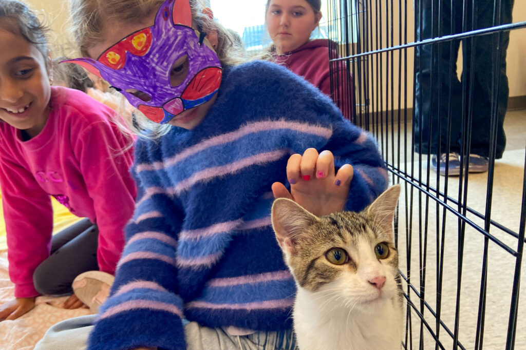 Child wearing a painted animal mask petting a grey and white cat beside a pen